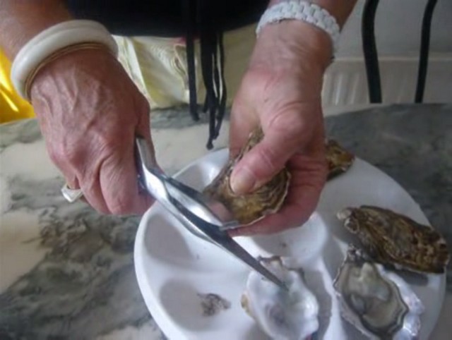 Outil pas ancien mais mystérieux : ouvre-huîtres